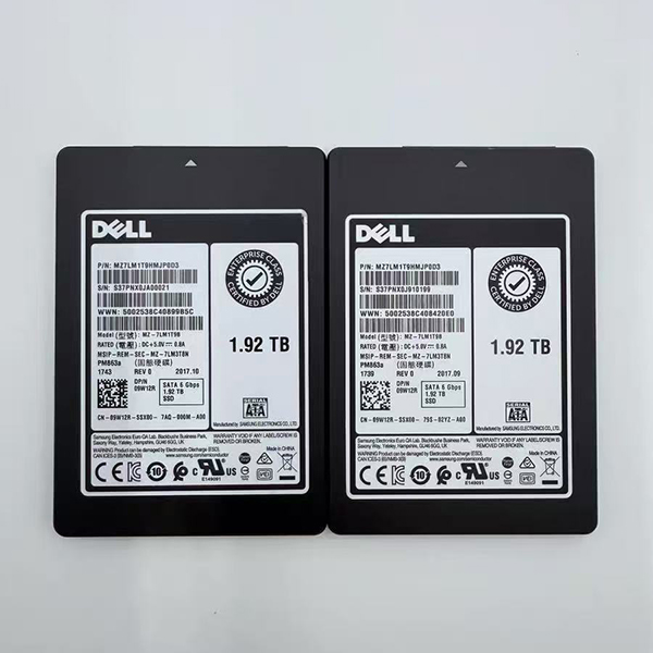 戴尔 Dell 2.5 寸企业 SSD 固态硬盘（两块）